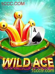Descubra o Mundo de Emoções e Aventuras com WildAce